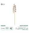 GloboStar® Artificial Garden WHITE ORCHID BRANCH 21406 Τεχνητό Διακοσμητικό Κλαδί Λευκή Ορχιδέα Y95cm
